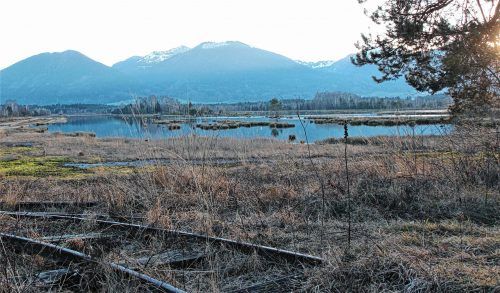 Die Nicklheimer Fuizn: Immer einen Besuch wert