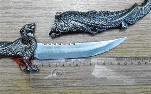 Diesen Dolch sowie einen Elektroschocker und ein Springmesser fand die Bundespolizei bei einemi Ungarn. Foto re