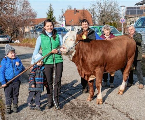 Drei Generationen der Familie Albanbauer aus Wolkersdorf, Gemeinde Kirchanschöring mit dem Stier Latino, der bei der Bayern Genetik in Besamungseinsatz geht. re