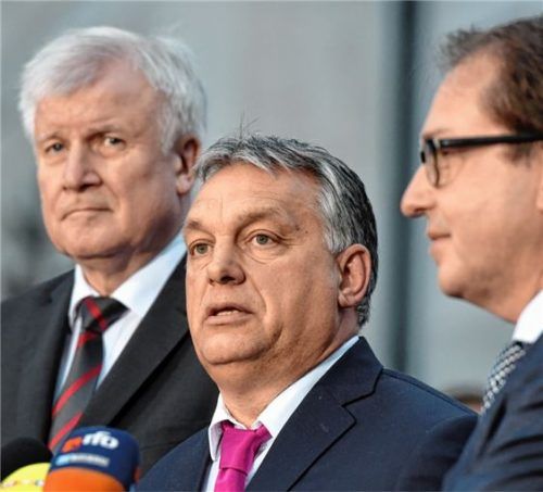 Ein Gast, der für heftige Diskussionen sorgte: (von links) CSU-Parteichef Horst Seehofer, Ungarns Ministerpräsident Viktor Orban und CSU-Landesgruppenchef Alexander Dobrindt bei der Klausurtagung der CSU-Landesgruppe im Kloster Seeon. Foto dpa