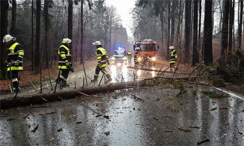 Einer der wenigen sturmbedingten Feuerwehreinsätze im Landkreis: Zwischen Aschbach und Grub in der Gemeinde Feldkirchen-Westerham fiel ein Baum quer über die Fahrbahn und musste beseitigt werden.Foto Schmuck