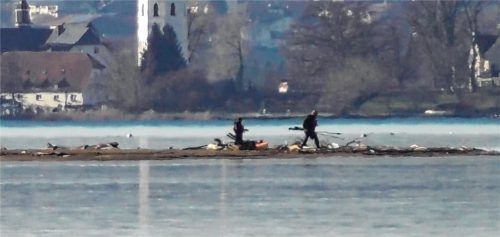 Menschen statt Wintervögel: Schon öfter haben Vogelbeobachter diesen Winter Kajakfahrer bemerkt, die auf einer Sandbank in der Naturschutz-Kernzone im Achendelta anlegen und dort Holz sammeln. Das Foto entstand mit gutem Teleobjektiv vom Beobachtungsturm der Hirschauer Bucht aus. Ulrike Riedel stellte es der Chiemgau-Zeitung zur Verfügung.Foto privat