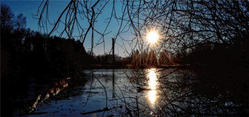 Tonwerksweiher im glitzernden Licht