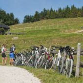 Mountainbiker stressen Alpenverein