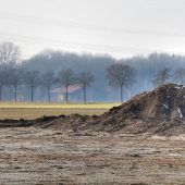 Rottweiler greift zwei Kleinkinder an