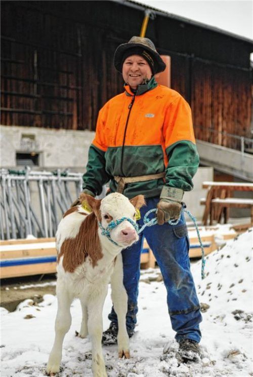 Bauer Wolfgang Ull steht mit einem vier Wochen alten Kälbchen an der Stelle, an dem 2019 ein neuer Stall stehen soll. Seine Mutter Brinka gab bisher rund 100000 Liter Milch brachte 15 Kälbchen zur Welt – ganz ohne konventionelle Leistungssteigerung. Foto jt