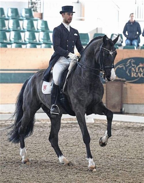 Benjamin Werndl holte sich in Wien zwei Siege.