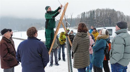 Der erste Schnitt durch Fachmann Harald Lorenz.Foto Hoffmann