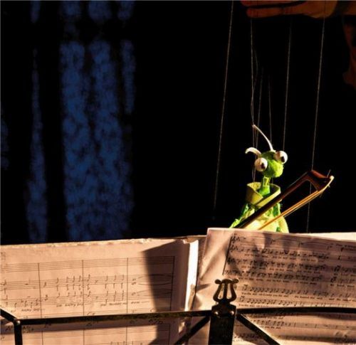 Die Fiedelgrille tritt in der Stadtbibliothek auf. Foto re