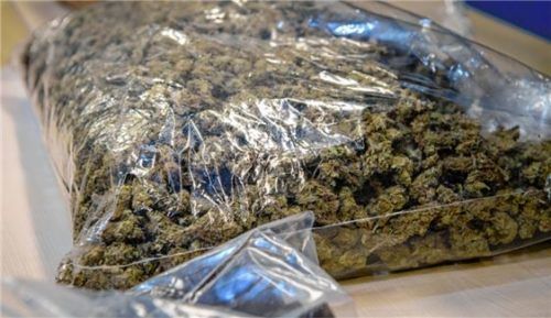 Elf Kilo Marihuana stellten Schleierfahnder in einem Koffer sicher, der in einem Zugabteil mitgeführt wurde. Der Besitzer des Gepäckstücks ist derzeit nicht bekannt.Foto dpa