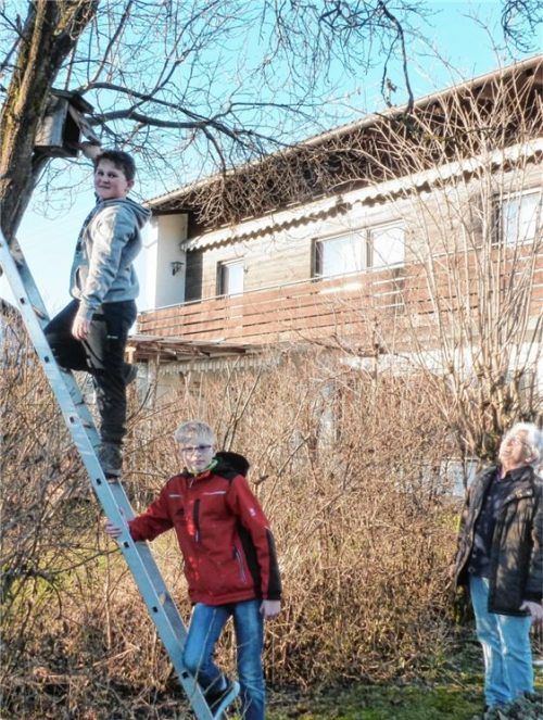 Frühjahrsputz in Vogelhäuschen