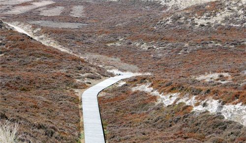 Für aktive Sylt-Urlauber ist eine Tour durch die Wanderdünen ein unvergessliches Erlebnis. Foto  djd/Kurverwaltung List auf Sylt