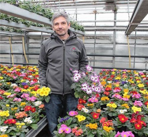Grüner Arbeitsplatz: Christian Lehner inmitten seiner bunten Blumenvielfalt. Foto Reisner