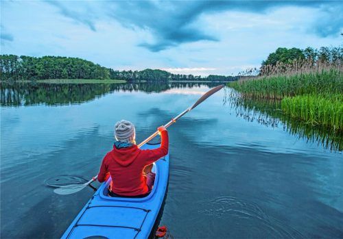 Im Reich von Biber, Eisvogel, Fischadler und Sumpfschildkröte erfährt man bei geführten Kanutouren einiges über Tierarten, Pflanzen sowie die Entstehung der Moore, Flüsse und Seen. Foto  djd/Tourismus Marketing Uckermark/Kappest