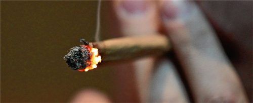 Kein harmloses Vergnügen: Laut medizinischen Studien kann der Konsum von Cannabis drastische gesundheitliche Folgen nach sich ziehen. Foto dpa