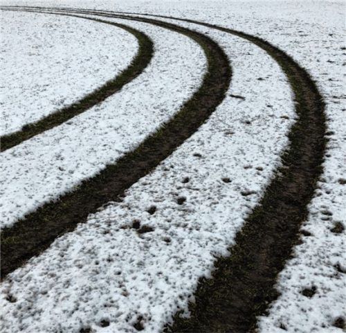 Reifenspuren auf dem Sportplatz in Au: Nach dem Verursacher fahndet jetzt die Polizei.Foto Menhofer