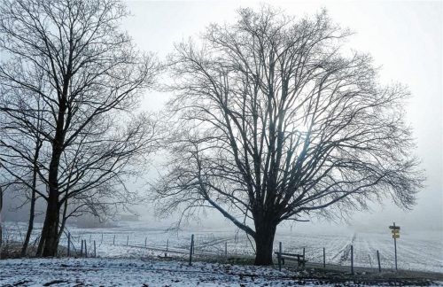 Reizvolle Eindrücke vom Wintergastspiel