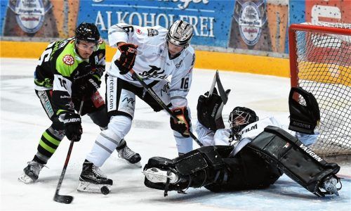 Vielleicht gibt es nächstes Jahr wieder ein Punktspiel der Starbulls gegen Frankfurt. Vor dieser Saison bestritten Daniel Bucheli (links) und Co. nur ein Testspiel gegen die Löwen (Bild). Foto  Ziegler