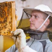 Gefährliches Nervengift für Bienen