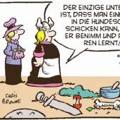 Hägar der Schreckliche