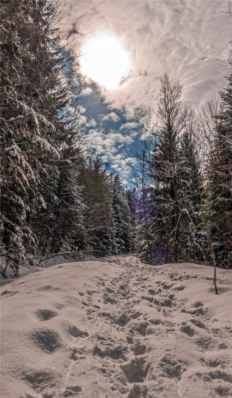 Absolute Stille im Raum