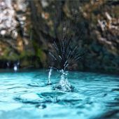 Eine Hommage an das Wasser