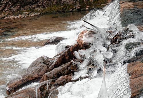 Bizarre „Eisblumen“ im Kieferbach