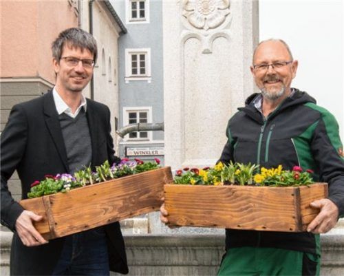 Blütenpracht für den Nepomukbrunnen