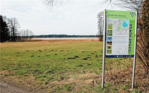 Das südliche Simssee-Ufer: Hier kam es im September 2017 zu der Sex-Attacke auf eine Joggerin. Foto Reisner