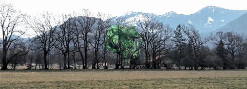 Der Erler Wind war stärker: Dieser Heißluftballon blieb bei Brannenburg in den Bäumen hängen. Die Passagiere hatten Glück im Unglück. Sie kamen mit dem Schrecken davon. Die herbeigeeilten Rettungskräfte konnten schnell Entwarnung geben. Fotos fischbacher