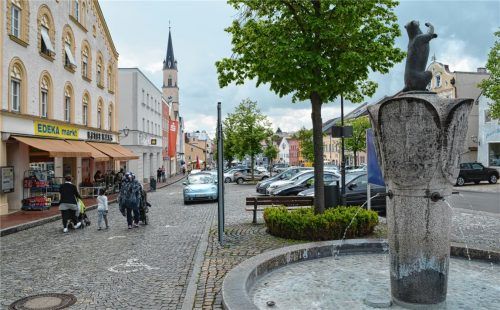 Grün soll er sein, barrierefrei, Aufenthaltsqualität haben und Parkplätze. Ob der Neumarkter Stadtplatz umfangreich oder behutsam saniert wird, entscheidet am kommenden Sonntag der Bürger.Foto Enzinger