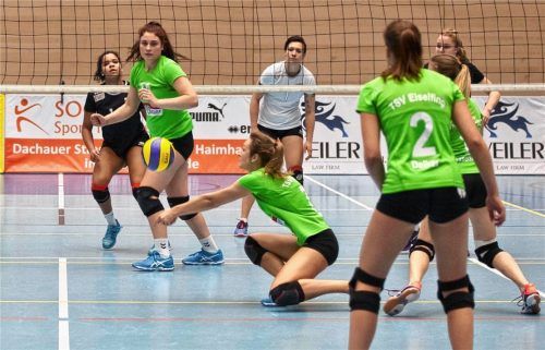 Eiselfings Volleyball-Damen bestreiten am morgigen Samstag ihr vorletztes Heimspiel.