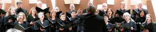 Engagiert dirigierte Konrad Heimbeck seinen Kammerchor. Foto JANKA