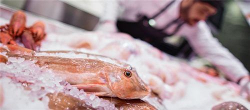 Köstlicher Fisch macht aus dem Karfreitag einen Tag zum Schlemmen.Foto dpa