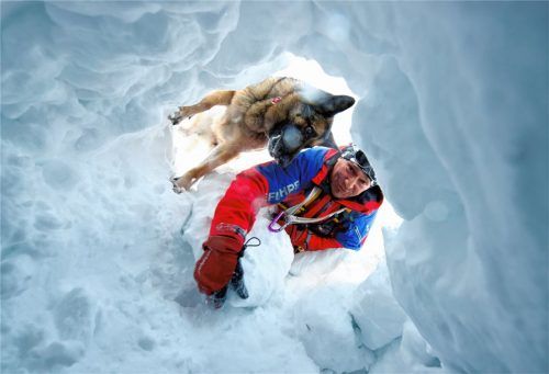 Rettung per Hund und Herrchen: Ein Bergretter und dessen Lawinenhund Jessy bei einer Übung im Einsatz. Foto dpa