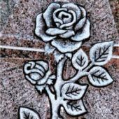Rosen verrinnen