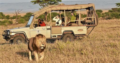 Urlauber auf Safari in Kenia: Für Reisebüros ein typisches Urlaubsziel, das Touristen lieber vor Ort buchen als im Internet. Reisebüro-Inhaberin Jutta Mauritz (kleines Bild, Zweiter von links) aus Wasserburg mit einem Teil ihres Teams. Foto dpa