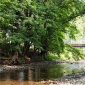 Umweltfreundliche Wasserkraft