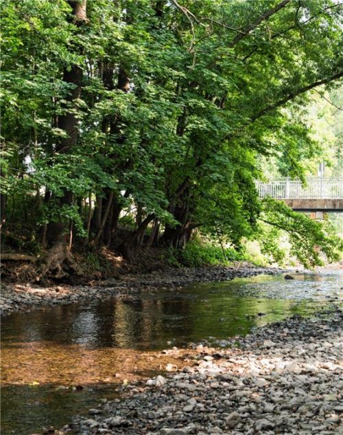 Wie viel Wasser braucht ein Fluss – auch diese Frage führt im Zusammenhang mit der Wasserkraft immer wieder zu Diskussionen.Foto dpa