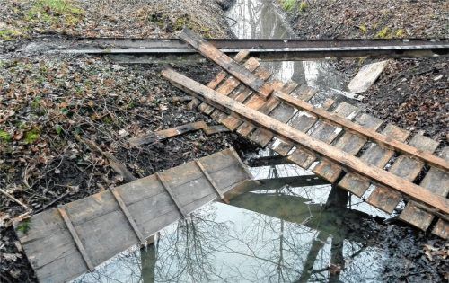Zerstörungswut am Weiher