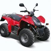 19-Jährigem misslingt Sprung mit Quad: Tante stirbt