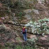 Ziege aus Bergnot gerettet