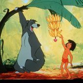 Knuddeliger Ratgeber