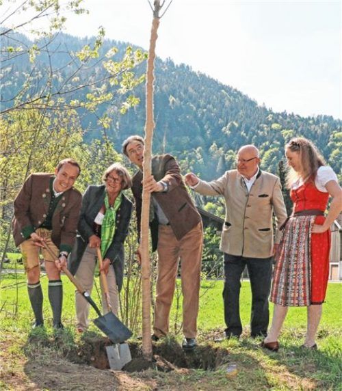 Am Dorfanger pflanzten Herbert Reiter, Monika Franzke, Peter Solnar, Roland Füssel und Dorothea Schwierskott zum Abschluss der Veranstaltung eine Bergulme. Fotos  Rehberg