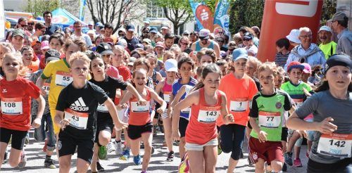 Auf die Plätze, fertig, los! 160 Kinder ab dem Kindergartenalter nahmen die Herausforderung der 1,7-Kilometer-Strecke an. Fotos Schlecker