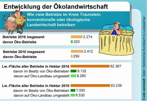 Bio-Landwirtschaft im Landkreis Traunstein nimmt zu