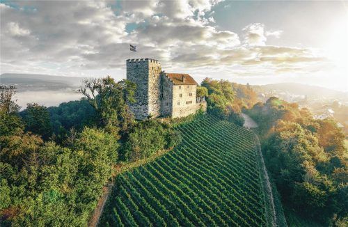 Der Besuch der Habsburg ist kostenlos. Sie ist der namensgebende Stammsitz der Habsburger und beherbergt eine Ausstellung. Foto Aargau Tourismus/Michael Jaussi