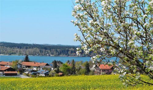 Die Region blüht auf: Farbenfrohe Idylle mit Seeblick