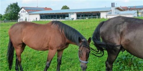 Die Rimstinger Zweieinhalbfach-Halle (hinten), die rund 4,7 Millionen gekostet hat, allerdings über keine Sauna verfügt, wird oft von Kritikern der Aschauer Planung als kostengünstigere Lösung ins Feld geführt. Foto Thümmler