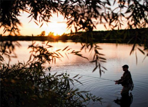 Ein Angler geht seinem Hobby nach. Im Langbürgner See hatte ein Angler einem anderen jetzt vorgeworfen, in geschütztem Gebiet gefischt zu haben. Foto dpa